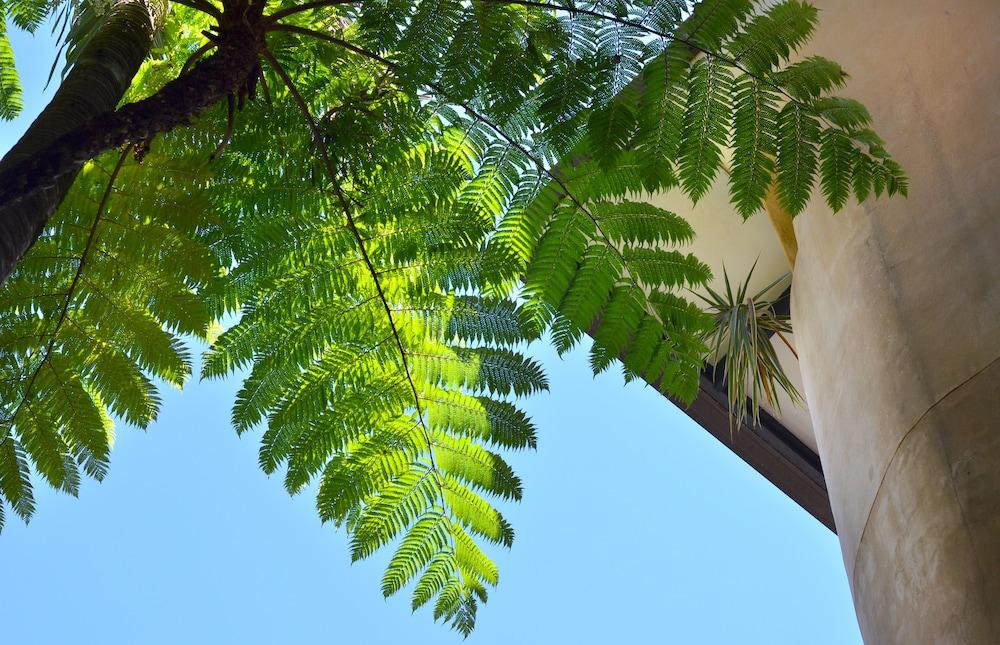 Villa San Michele Port Douglas Exterior photo